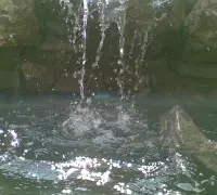 Waterfall feature with flowing water