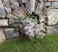 Stonewall design
