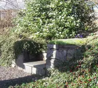 Natural stone steps with overgrown bushes